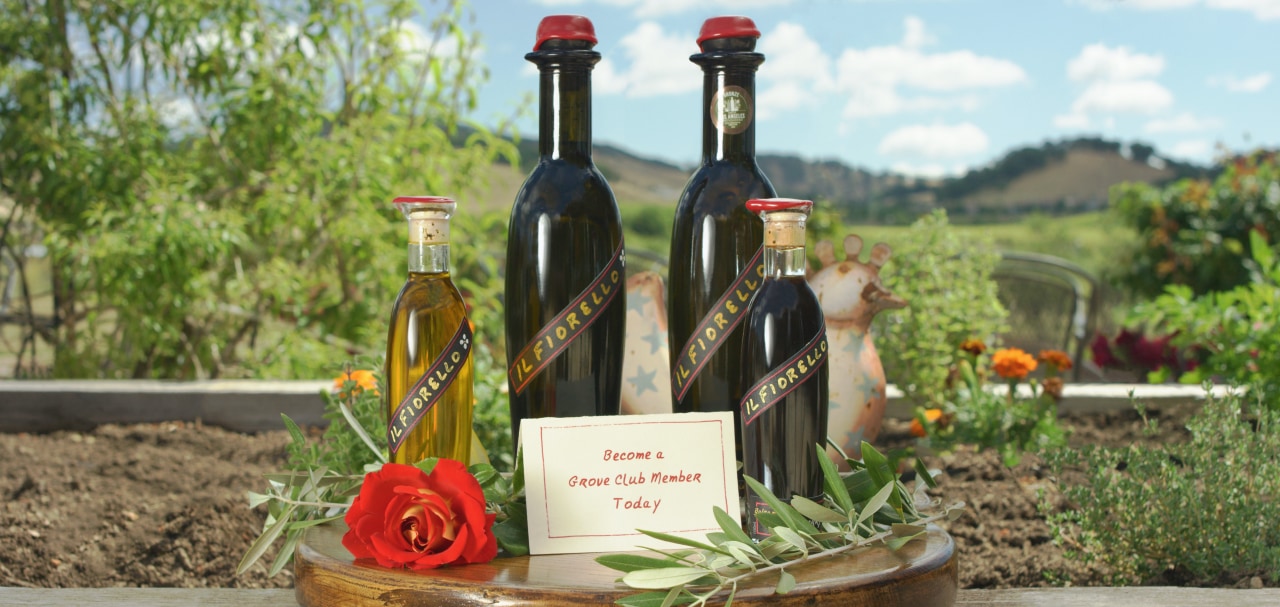 Olive Oil bottles