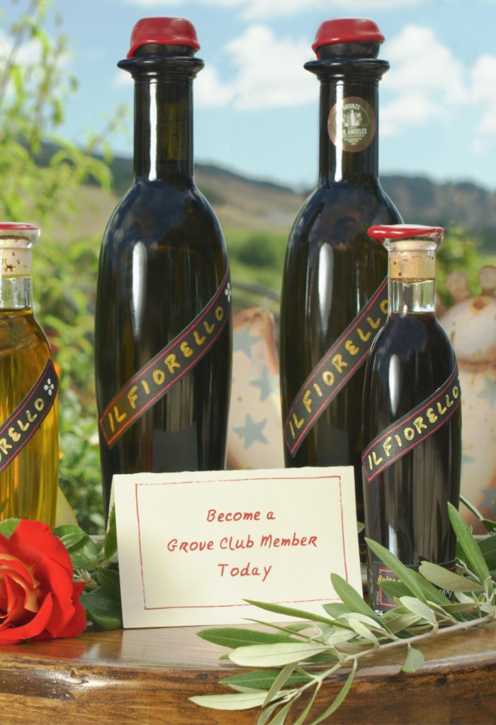 Olive Oil bottles