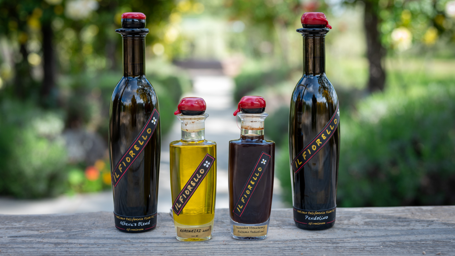 Olive Oil bottles