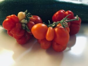 Reisetomate