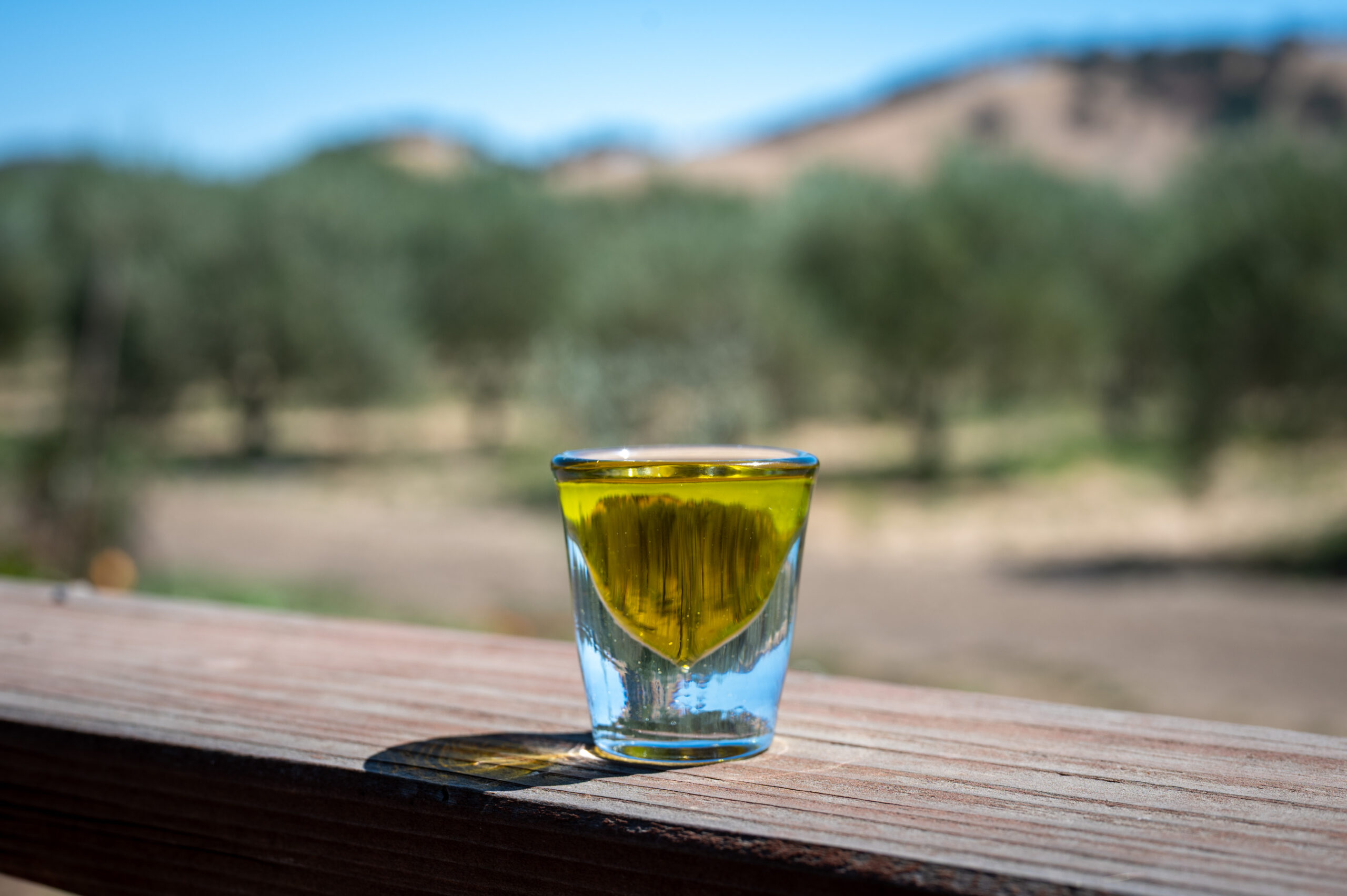 A Shot of olive oil, is it worth it?